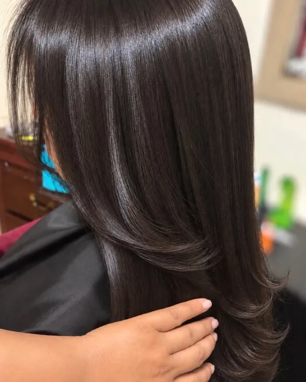 Pelo liso con brillo espejo después de un blower